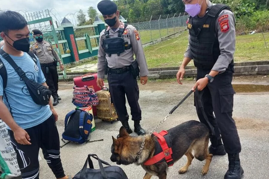 Polda Kalbar Patroli Gunakan Anjing Pelacak Di Perbatasan